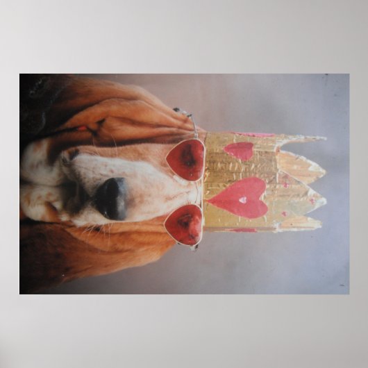 Poster Basset Hound Koning (Voorkant)