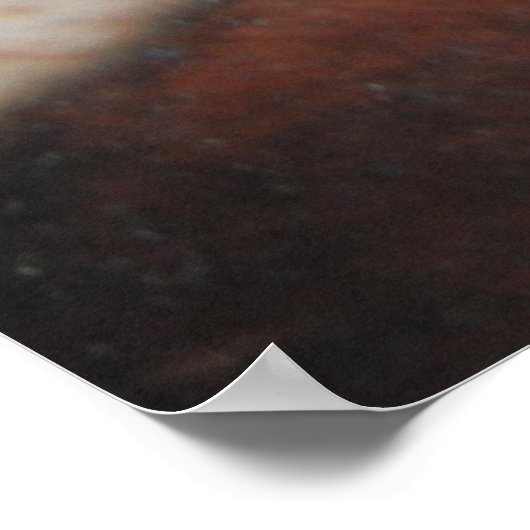 Poster Basset Hound Met Rode Das (Hoek)