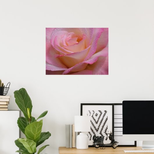 Poster Beauful Pink Rose (Thuiskantoor)