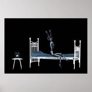 Poster - Bedtime X-Ray Skeleton Black Blue