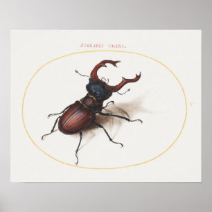 Poster  beeldillustratie