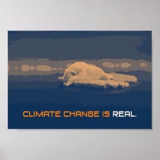 Poster Beer klimaatverandering