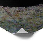 POSTER BEER PAW PRINT (Hoek)