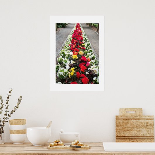 Poster Begonias (Keuken)