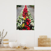 Poster Begonias (Keuken)
