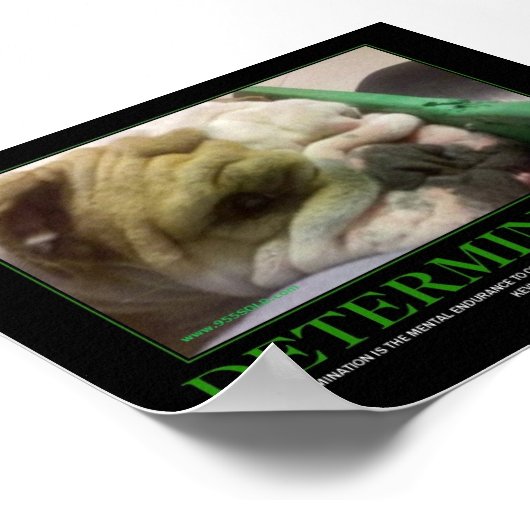 POSTER BEPALEN! (Hoek)