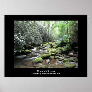 Poster Bergbeek Grote Smoky Mountains