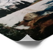 Poster, bergen poster (Hoek)