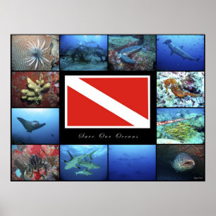 Poster bespaart onze oceanen