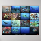 Poster bespaart onze oceanen (Voorkant)