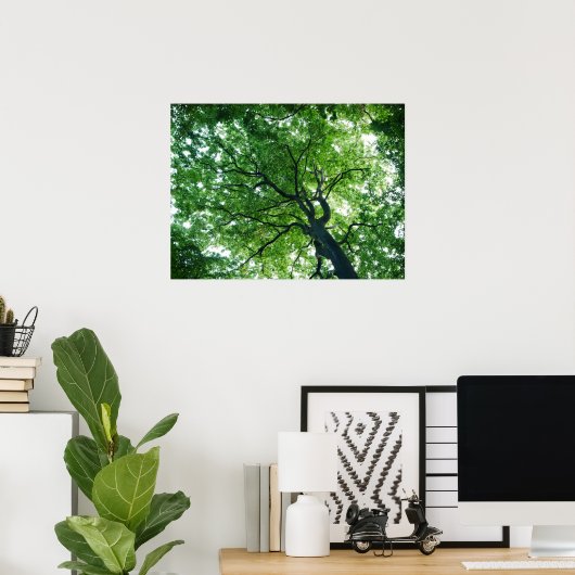 Poster beukenbomen (Thuiskantoor)