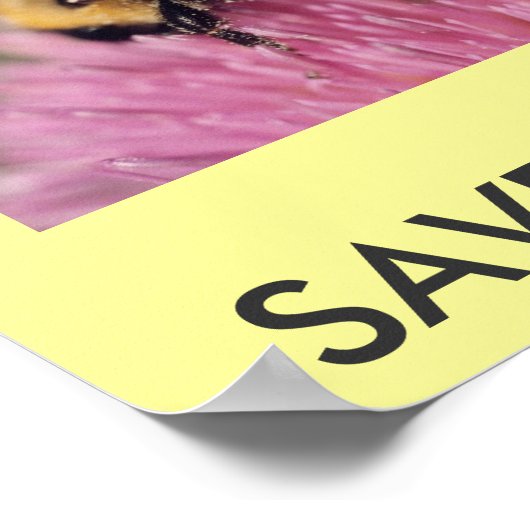 Poster: BEWAREN VAN DE VERGOEDINGEN Poster (Hoek)