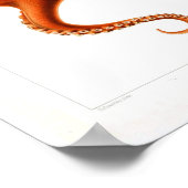  Poster bij dieren - Octopus (Hoek)