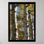 Poster Birch Trees (Voorkant)