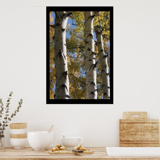 Poster Birch Trees (Keuken)