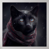 Poster Black Cat (Voorkant)