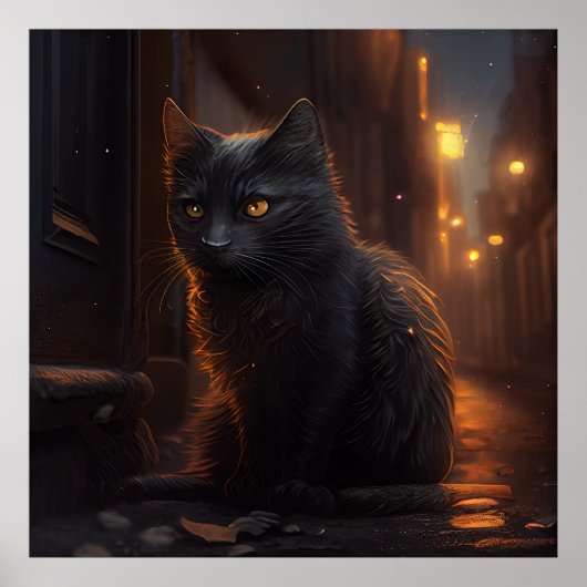 Poster Black Cat (Voorkant)