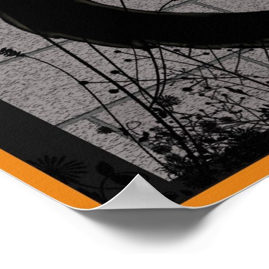 poster "Black Cat" (Hoek)