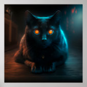 Poster Black Cat (Voorkant)