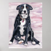 poster "Black Dog" (Voorkant)