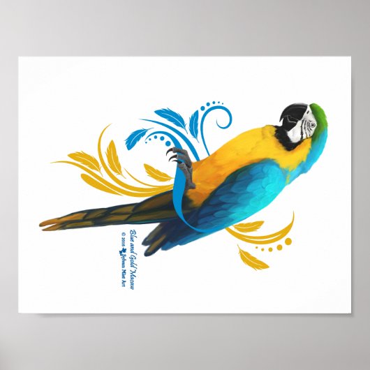 Poster Blauw en gouden Macaw (Voorkant)