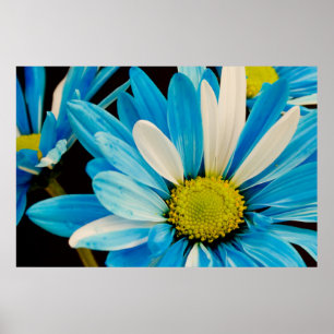 Poster blauwe bloemen