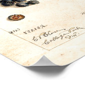 Poster - Blauwe bosbessen van James Shull (Hoek)