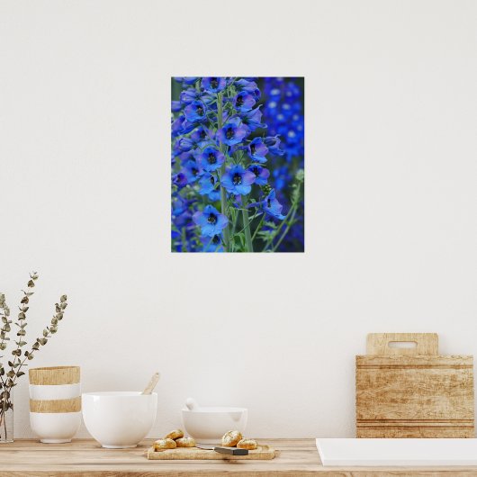 Poster Blauwe Delphiniums (Keuken)