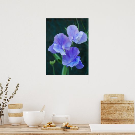 Poster Blauwe peuzenbloemen (Keuken)