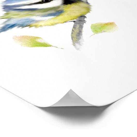 Poster Blauwe tit Bird Print (Hoek)