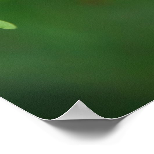 Poster blauwe vlinder (Hoek)