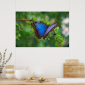 Poster blauwe vlinder (Keuken)