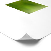 Poster blauwe vlinder (Hoek)