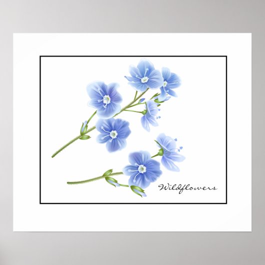 Poster-Blauwe Wildbloemen Poster (Voorkant)