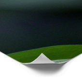 Poster Bloedbloeding Hearts Spring Flowers (Hoek)