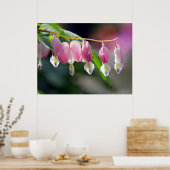 Poster Bloedbloeding Hearts Spring Flowers (Keuken)