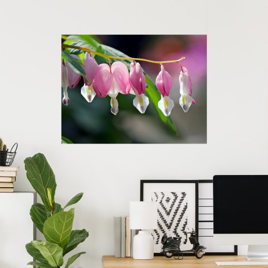 Poster Bloedbloeding Hearts Spring Flowers (Thuiskantoor)