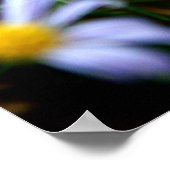 Poster bloemen (Hoek)