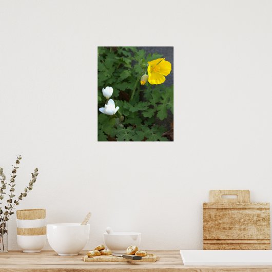 Poster bloemen (Keuken)