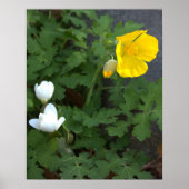 Poster bloemen (Voorkant)