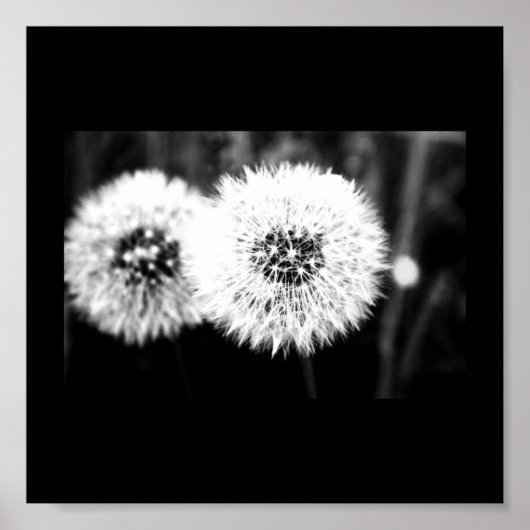 Poster-Bloemen-141 Poster (Voorkant)
