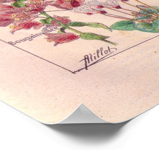 poster bloemen 1920 (Hoek)