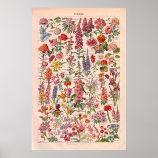 poster bloemen 1920