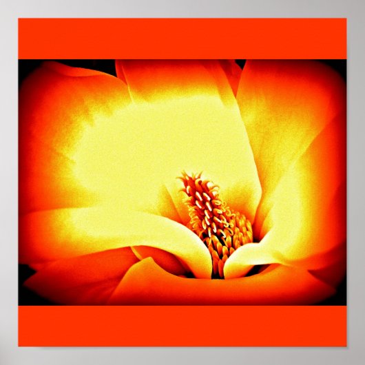 Poster-bloemen-Geschilderde Bloemen 9 Poster (Voorkant)