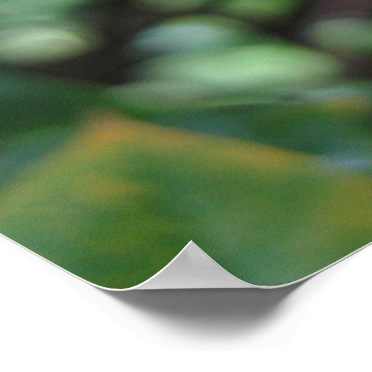 Poster Blooms (Hoek)