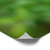 Poster Blue Dasher Dragonfly (Hoek)