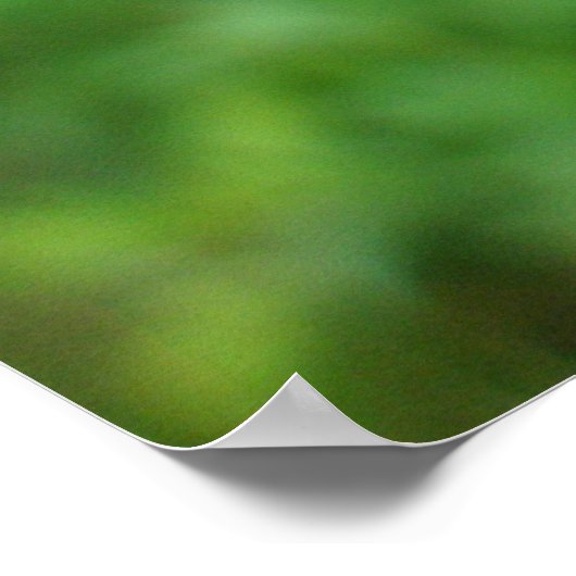 Poster Blue Dasher Dragonfly (Hoek)