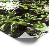 poster "Blue Peter" (Hoek)