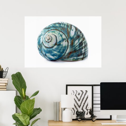 Poster Blue Zee Shell (Thuiskantoor)