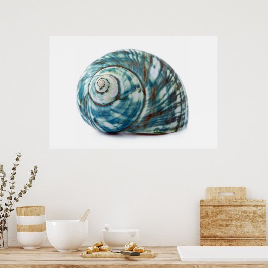 Poster Blue Zee Shell (Keuken)
